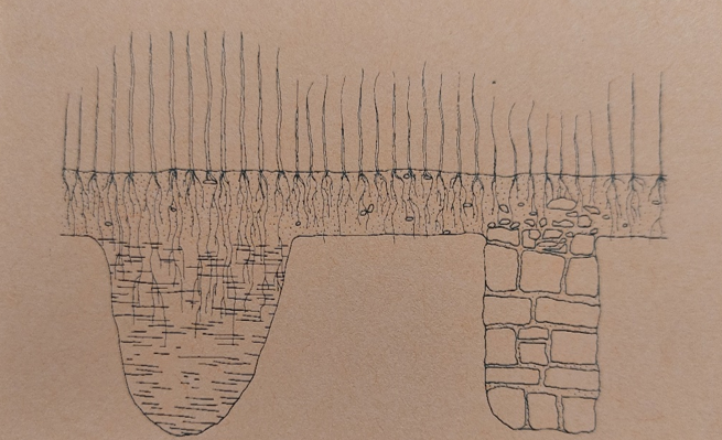 Illustration of cropmarks